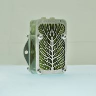 Algae "biocells" powered by photosynthesis could replace disposable batteries