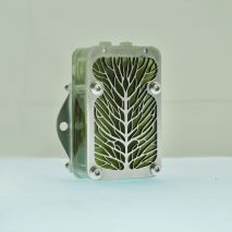 Photosynthesis-powered algae "biocells" could replace batteries