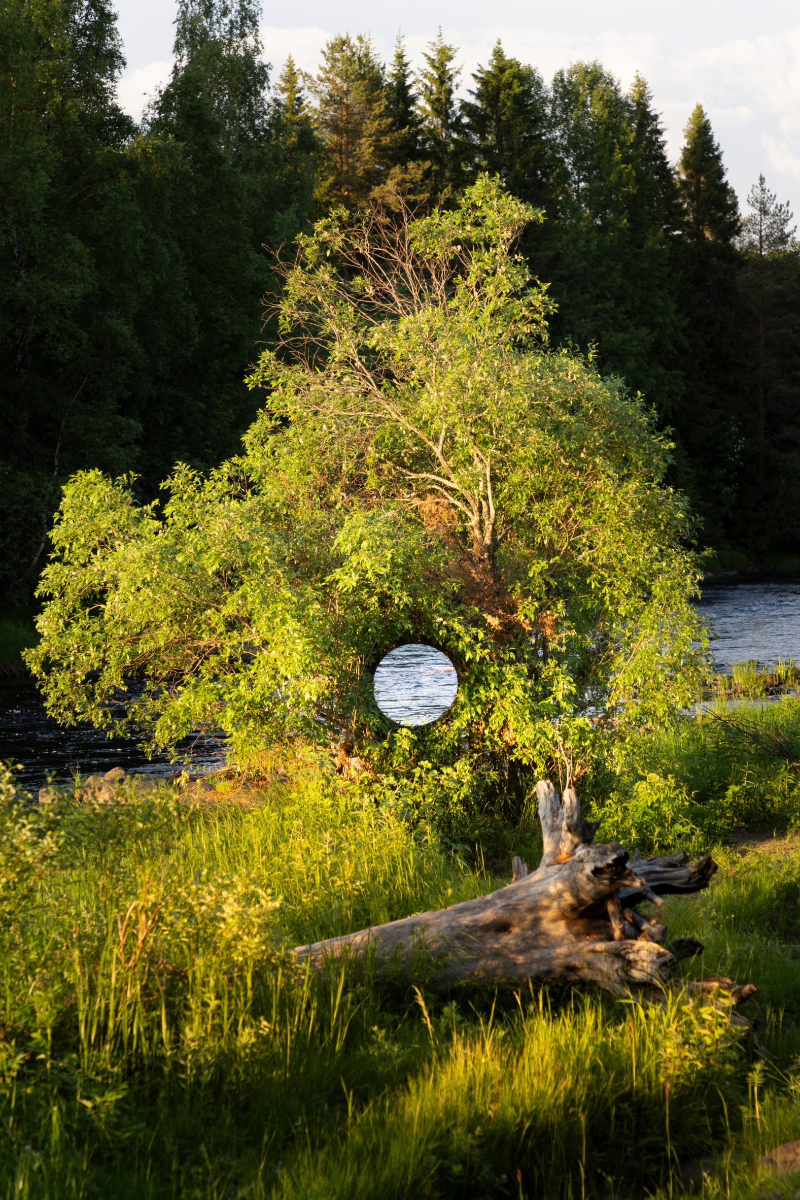 Foto de la obra de arte You Are Here de Antti Laitinen, donde aparece un portal circular en el medio del árbol, que muestra el río que fluye al otro lado.