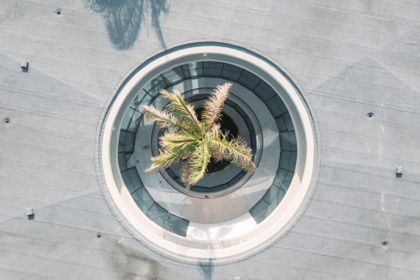 Aerial close-up of a circular roof opening surrounding a palm tree within the concrete canopy