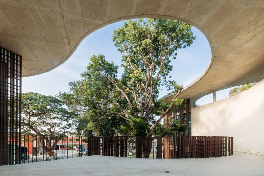 Ground-level view looking up at a mature tree growing through a circular opening in the concrete canopy