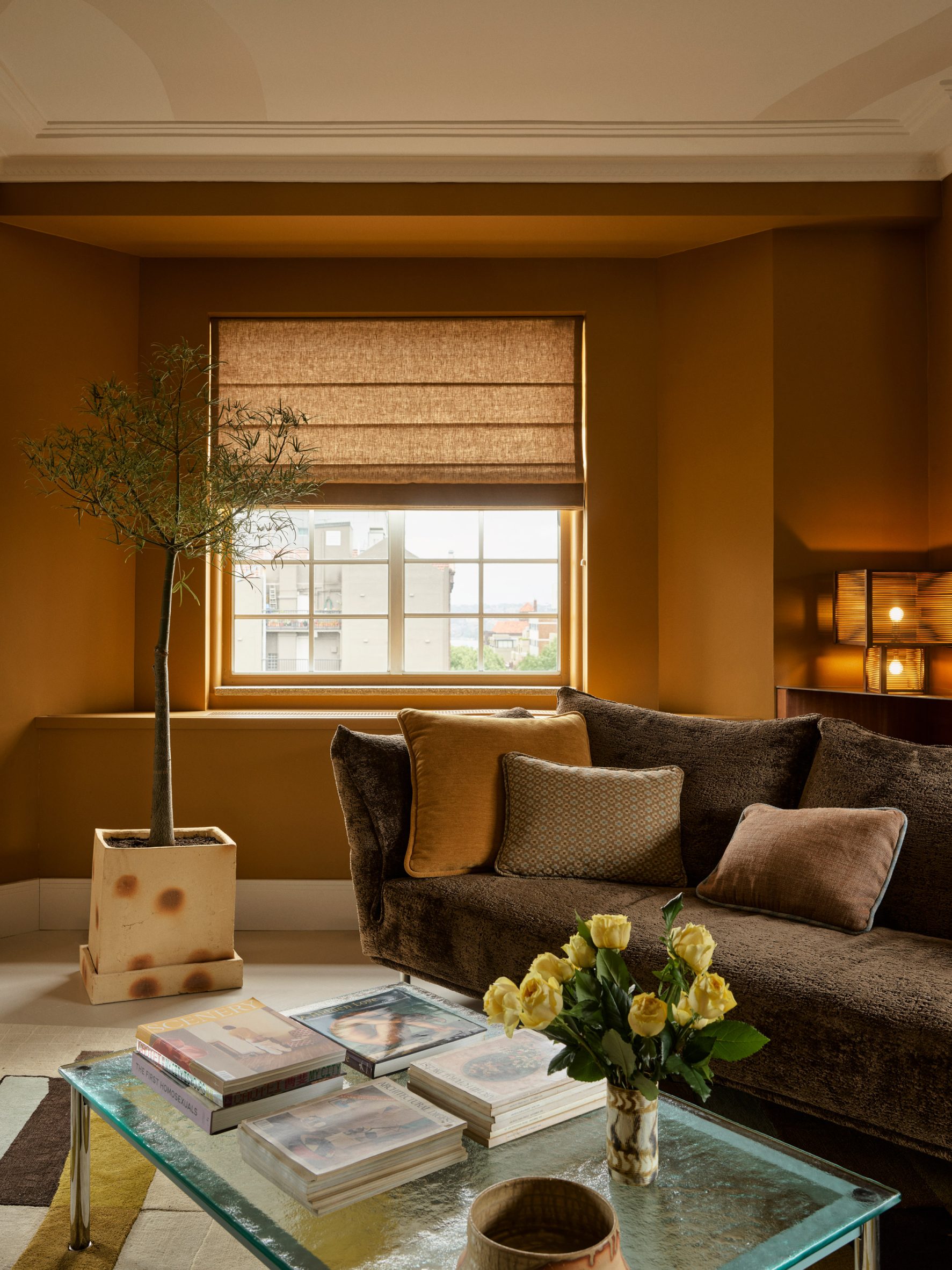 Ochre-painted walls in Sydney apartment