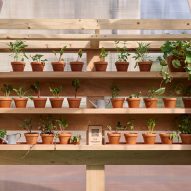 The Veggery greenhouse at the Barbican by Studio Folk Architects and Raskl