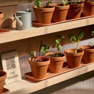 The Veggery greenhouse at the Barbican by Studio Folk Architects and Raskl