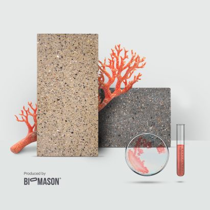 Tiles Made with the Help of Bacteria – Front x Biomason