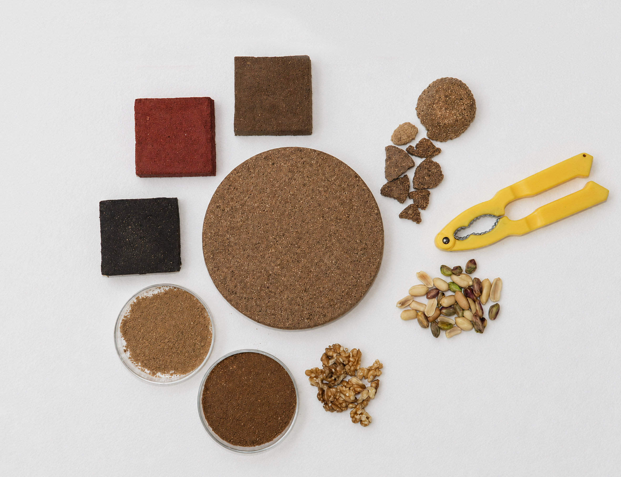 Whynut by Nicole Dalle Molle, Giulia Luppi, Selma Wittermann and Mrunal Deshpande