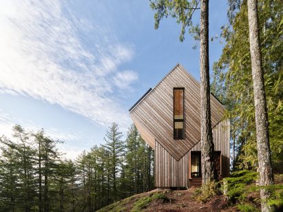 The Nest by Daria Sheina Studio