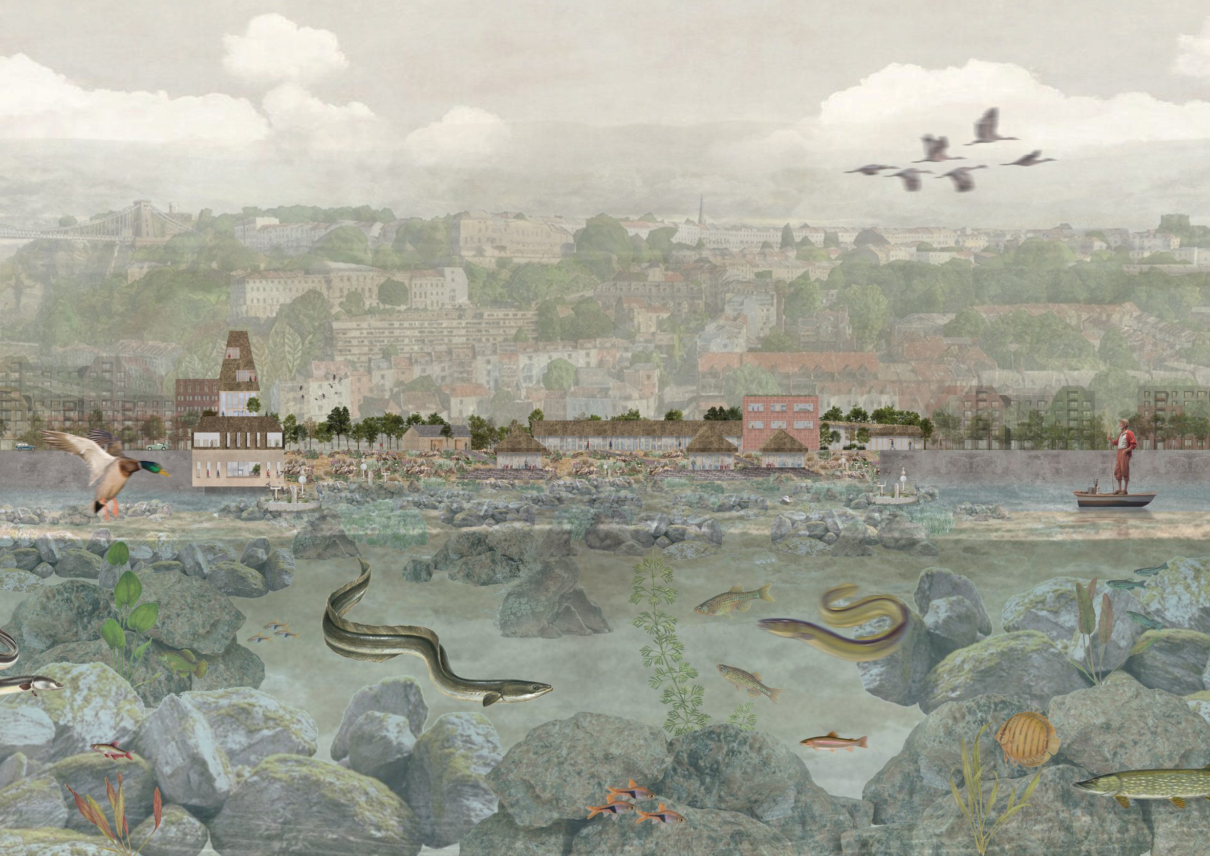 Anguilla: European Eel Conservation and Education Centre by Lily-Grace Conradie
