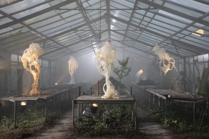 Ghost Orchid by Marcin Rusak Studio