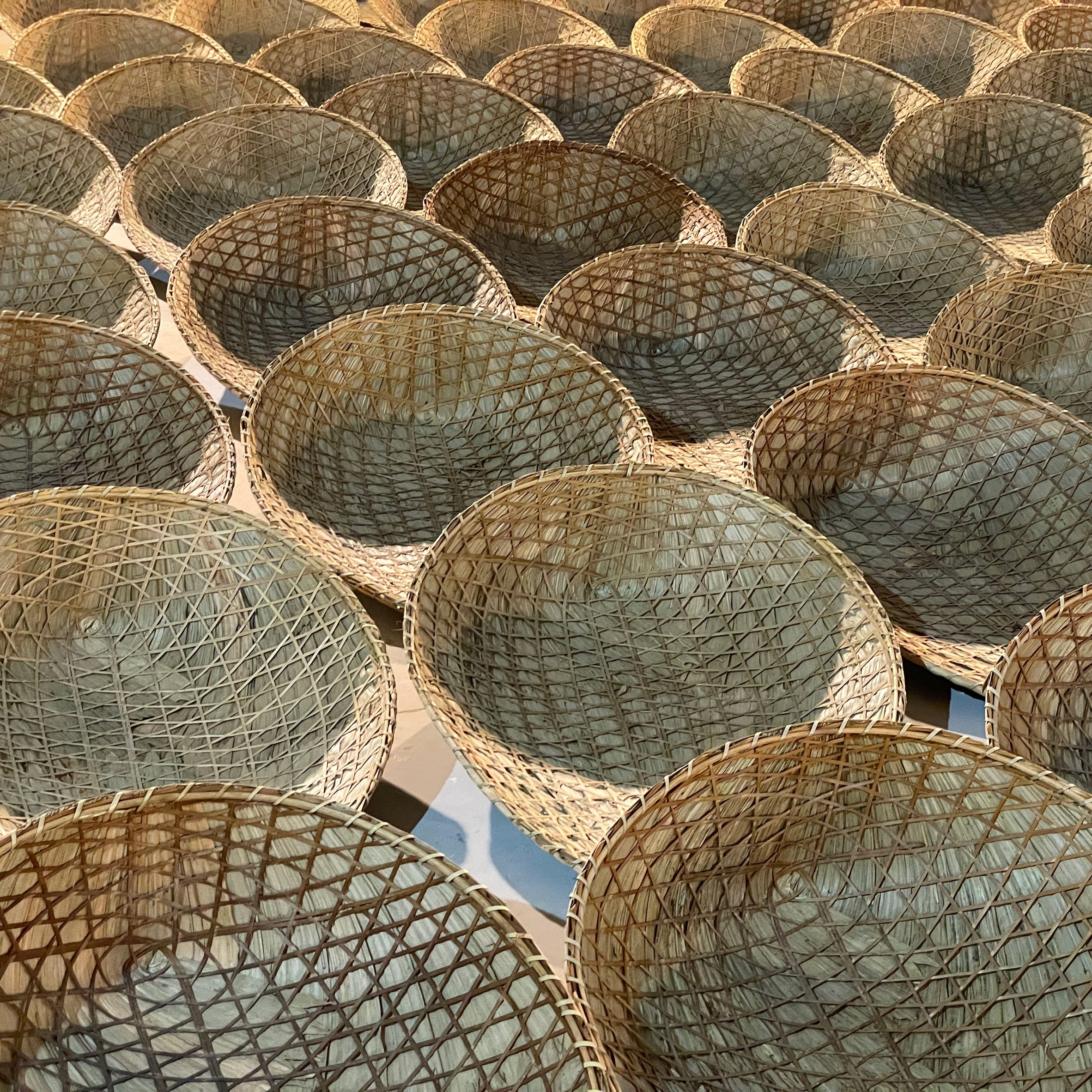 The Pangolin Shield installation by Studio Saar and Atelier One