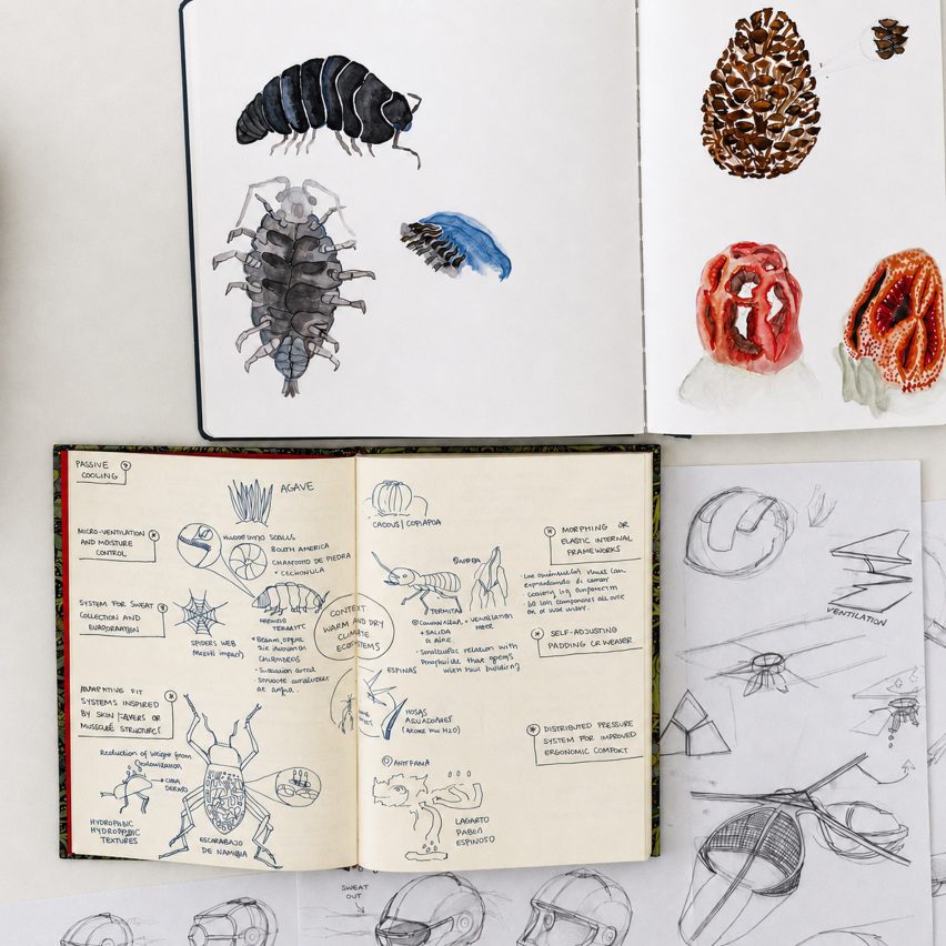 Pages of sketchbooks containing drawings and diagrams of bugs