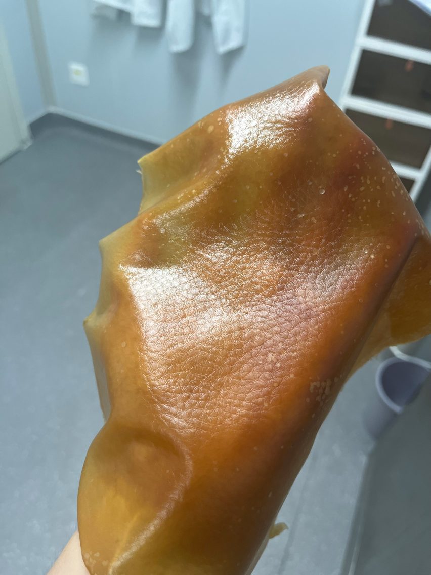 Photo of a hand holding a sheet of translucent, caramel-coloured leathery material that is in fact a fungal textile