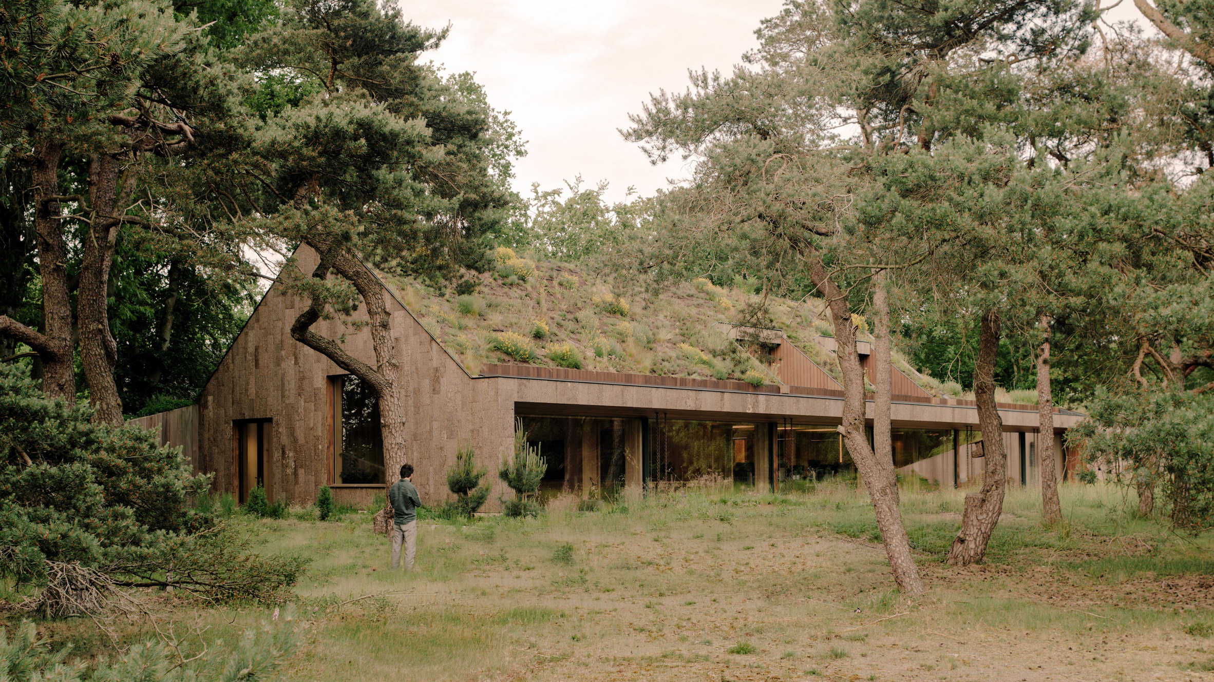https://static.dezeen.com/uploads/2026/08/studio-massimo-office-by-nature-netherlands-hero_dezeen_2364_col_2.jpg