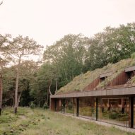 Office by Nature by Studio Massimo