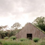 Office by Nature by Studio Massimo