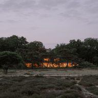 Office by Nature by Studio Massimo