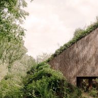 Office by Nature by Studio Massimo