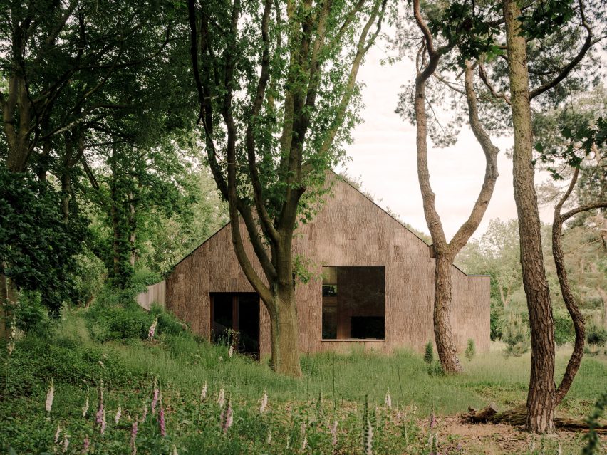 Office by Nature in the Netherlands
