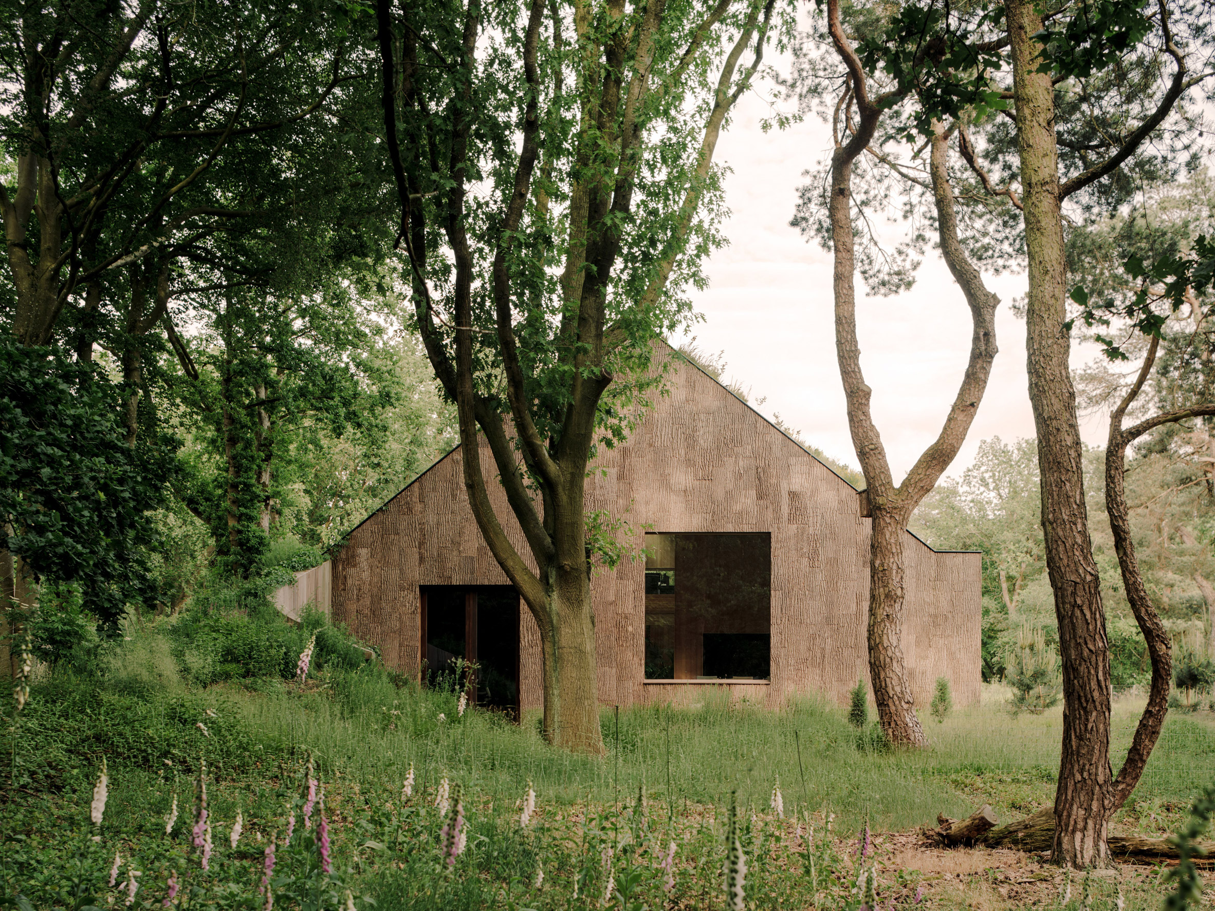 Office by Nature in the Netherlands