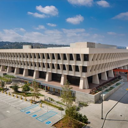 Sunkist brutalist office
