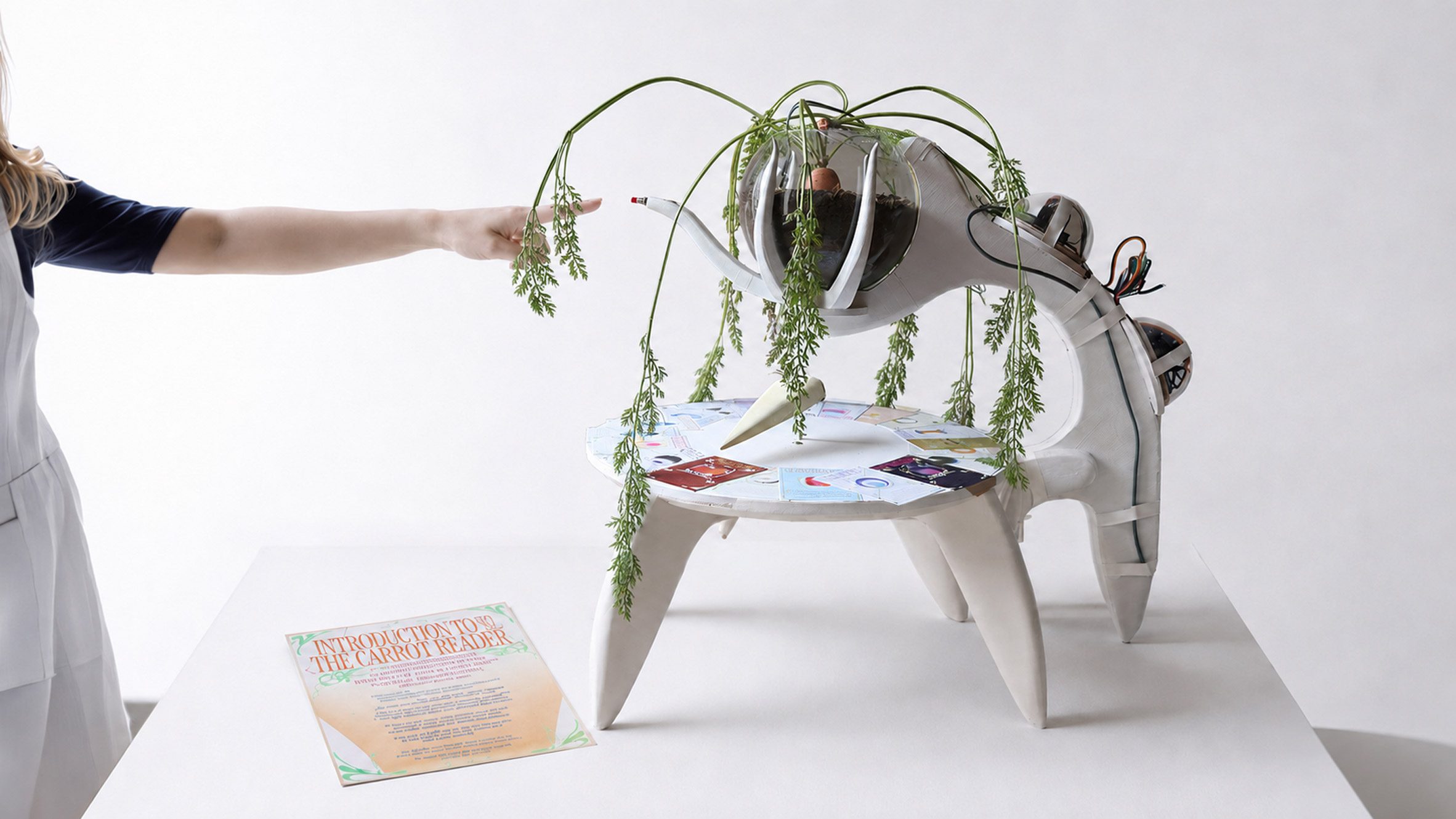 Carrot Reader by Pia Golob, Florian Janez Gutmann, Maja Selinšek and Jovana Mališić
