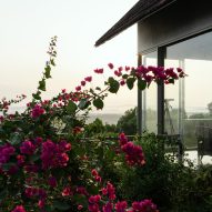 Planting on the perimeter of Ushas farmhouse