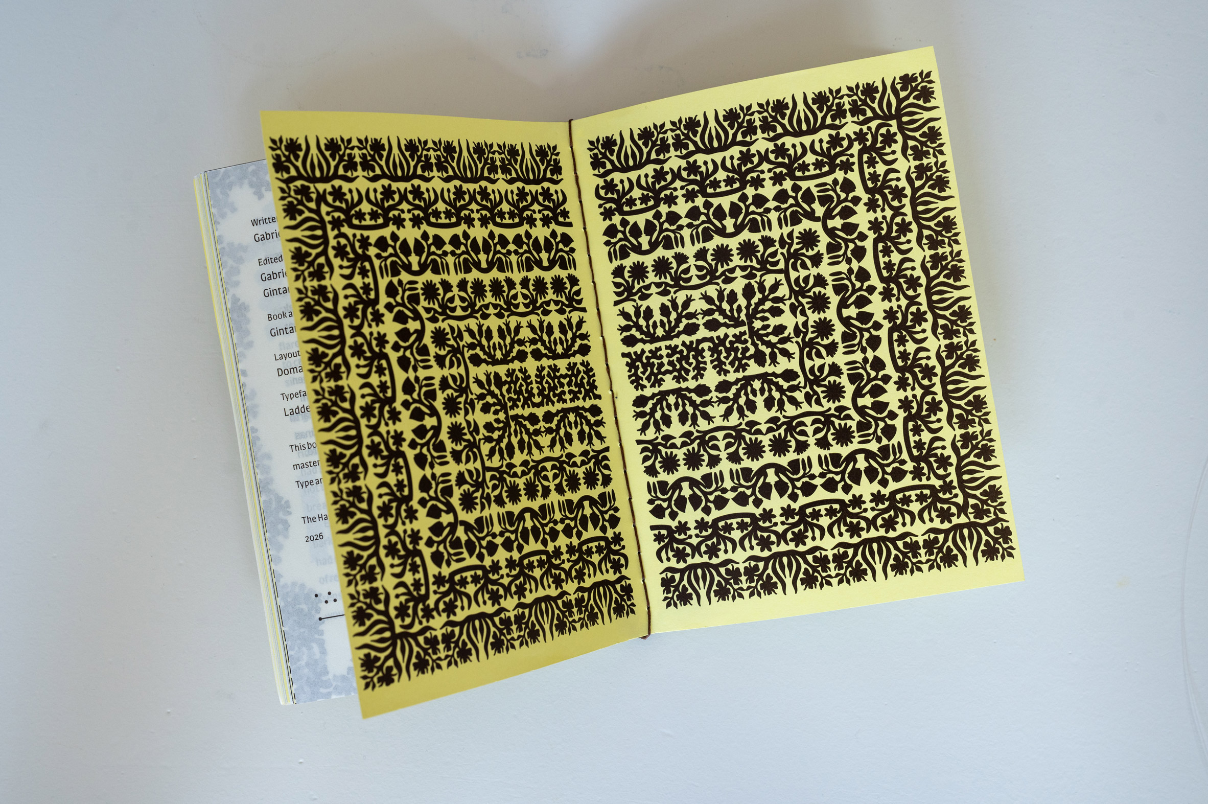 Open booklet featuring graphic image