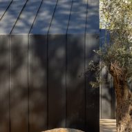 Mexico City house