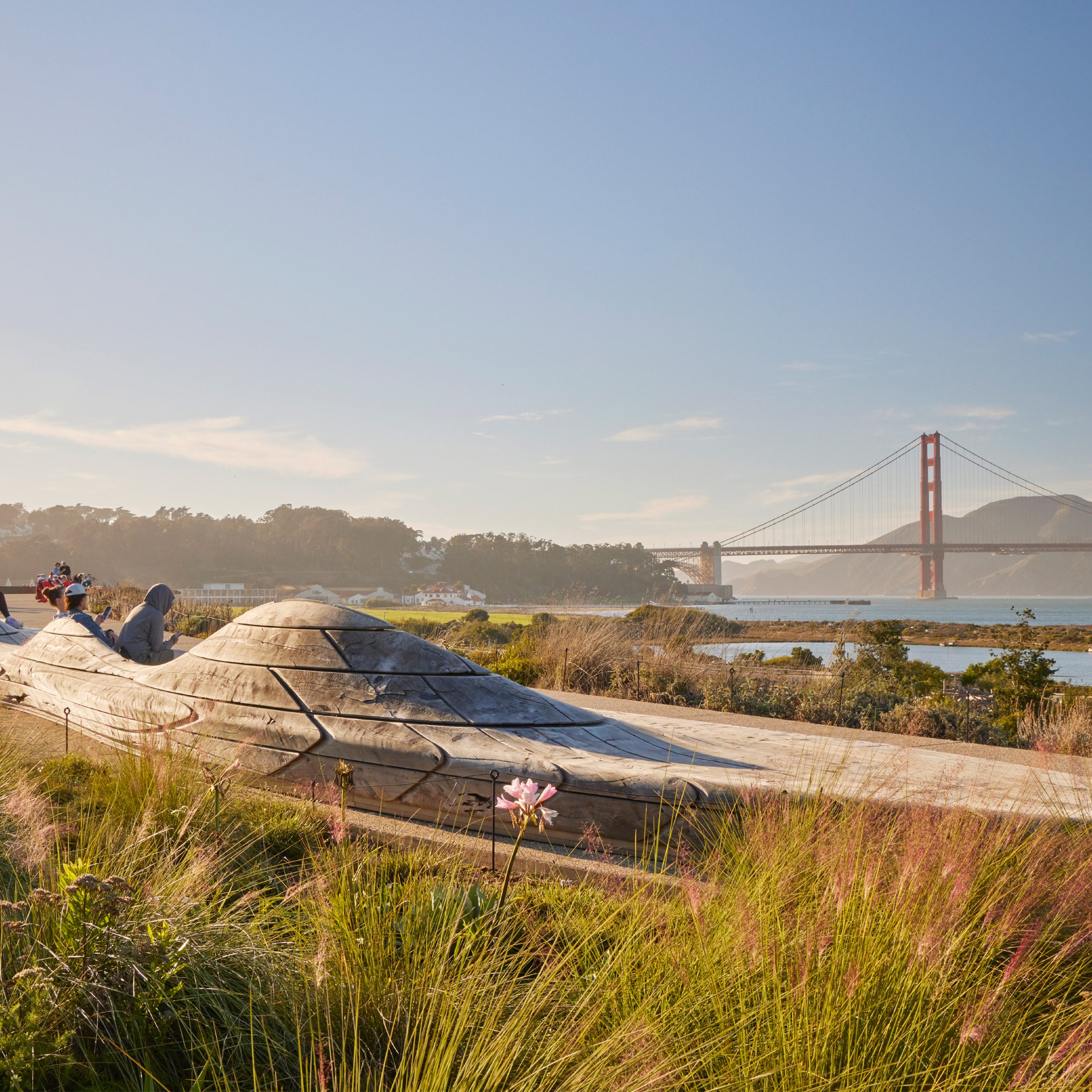 Presidio Tunnel Tops, San Francisco, United States, by Field Operations