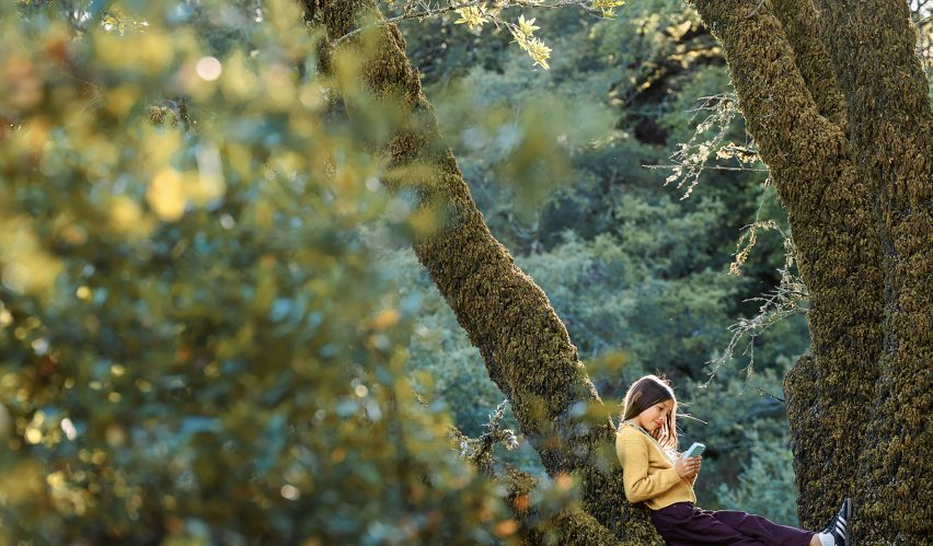 Photo of a girl sitting in the branches of a tree while she plays with a toy