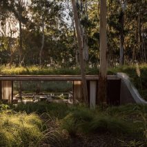 Eight green-roofed homes that sprout from their surroundings