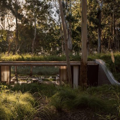 House with a green roof