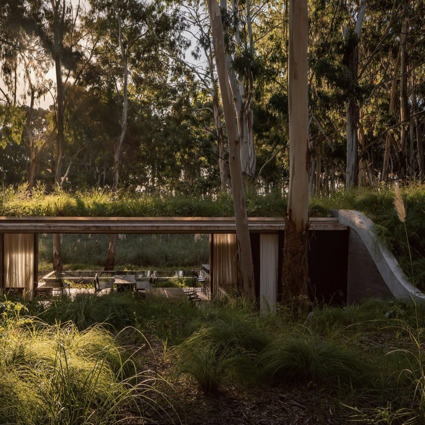 House with a green roof