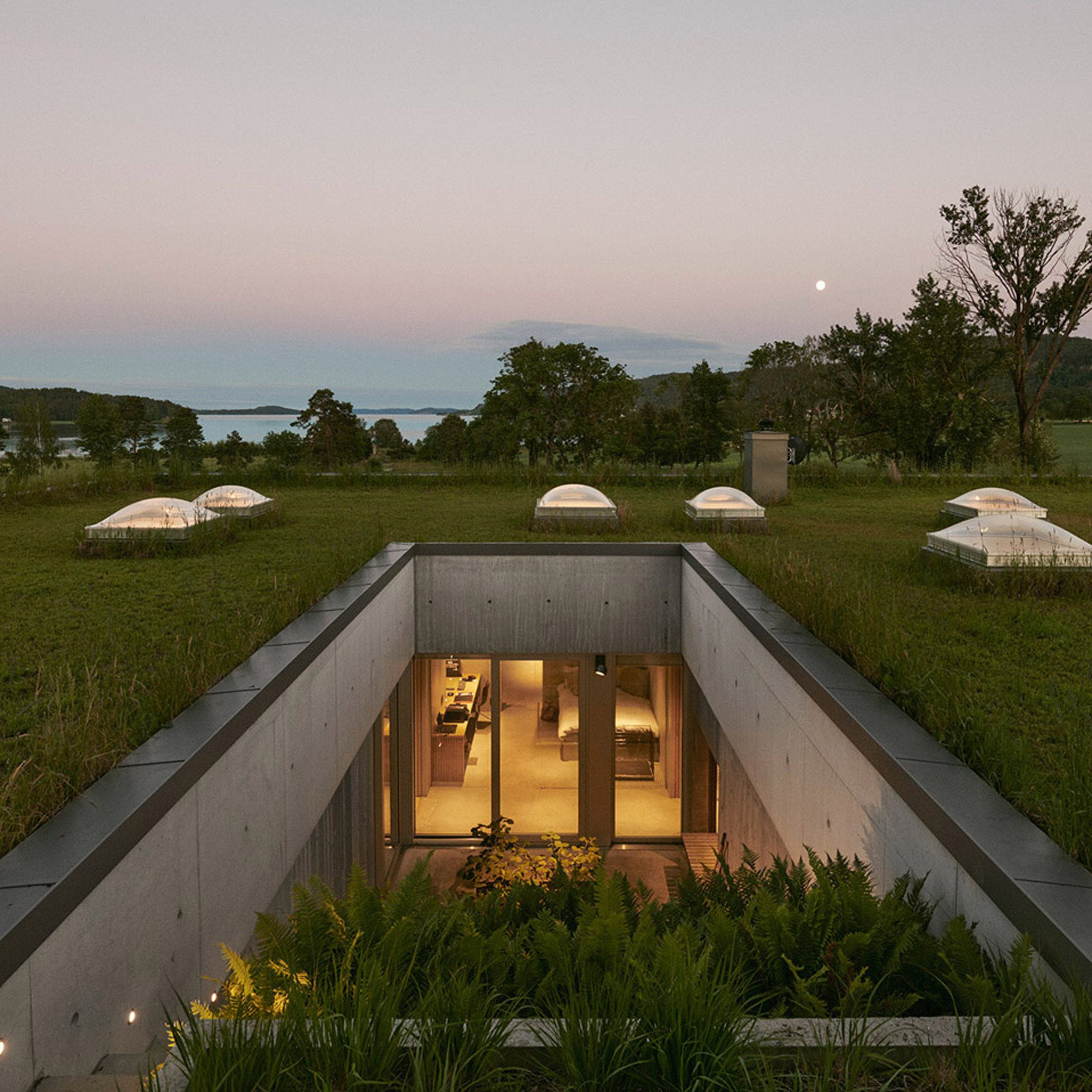 Home with a green roof