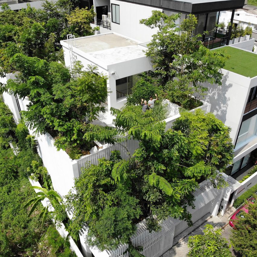House with trees on the roof
