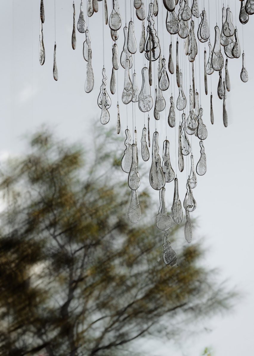 Clear glass pieces containing impressions of plants hanging at different heights against a backdrop of trees