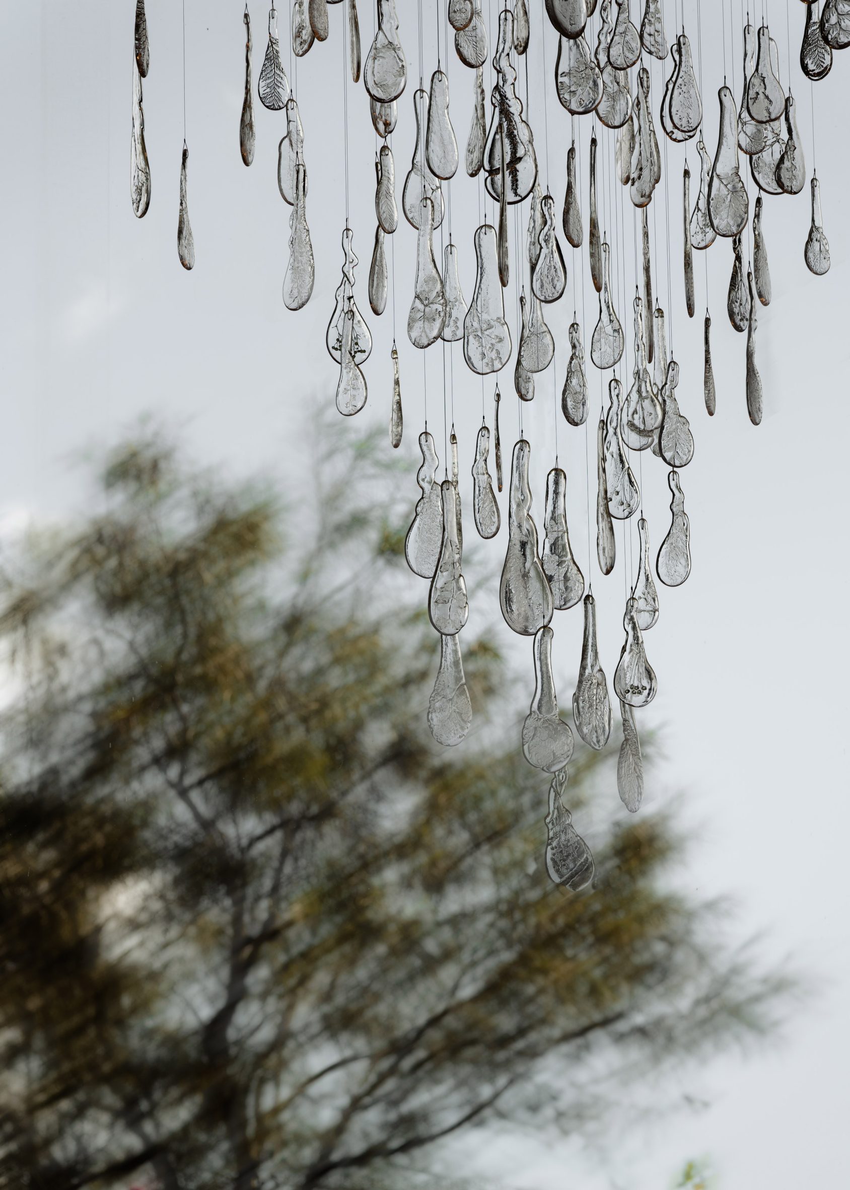 Clear glass pieces containing impressions of plants hanging at different heights against a backdrop of trees