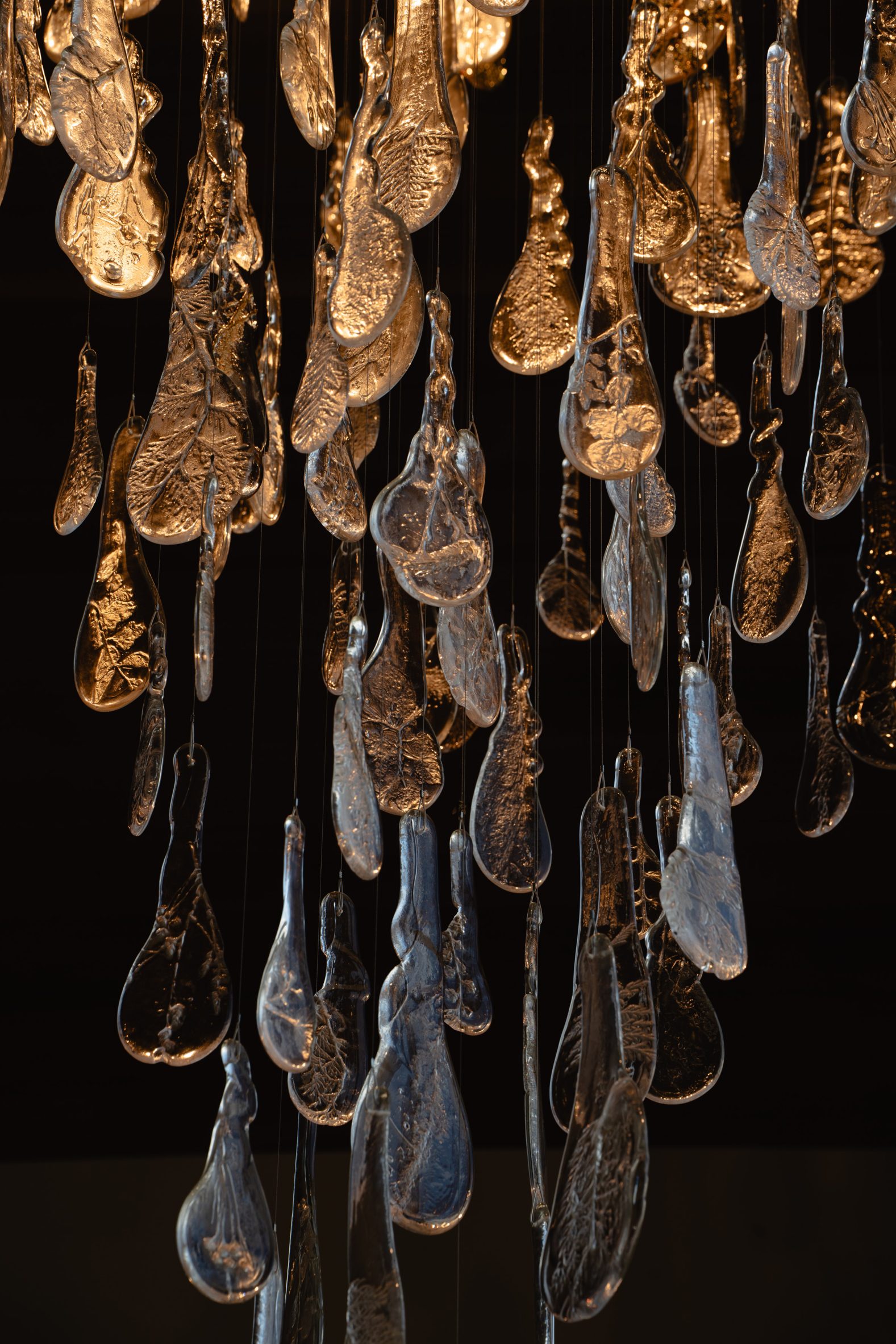 Close-up of translucent glass pieces containing detailed impressions of flowers and plants