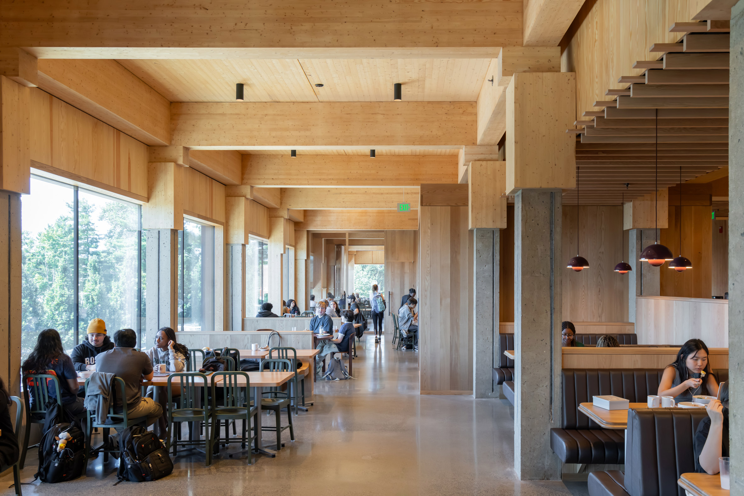 Herzog & de Meuron Mass Timber Amherst Extension