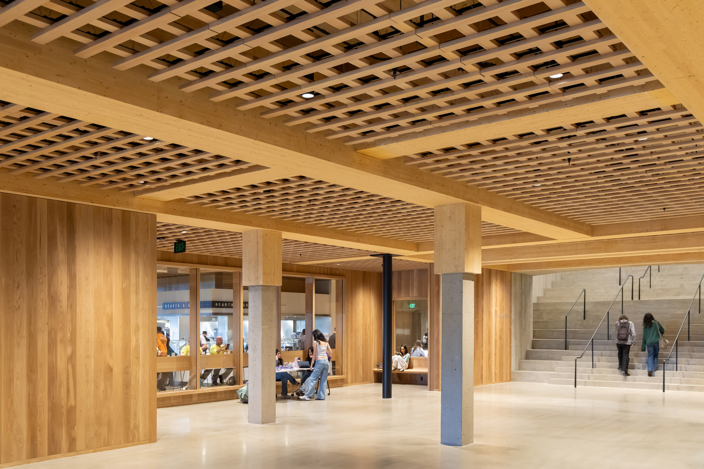 Herzog & de Meuron Mass Timber Amherst Extension
