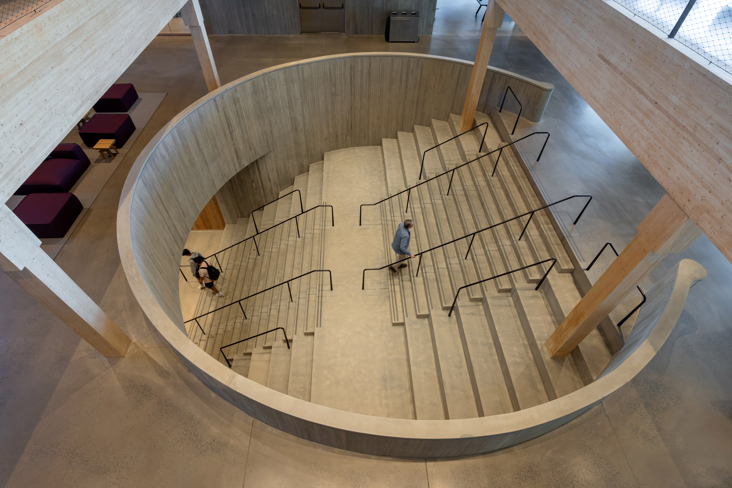 Herzog & de Meuron Mass Timber Amherst Extension