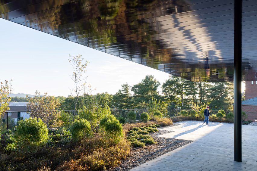 Herzog & de Meuron Mass Timber Amherst Extension