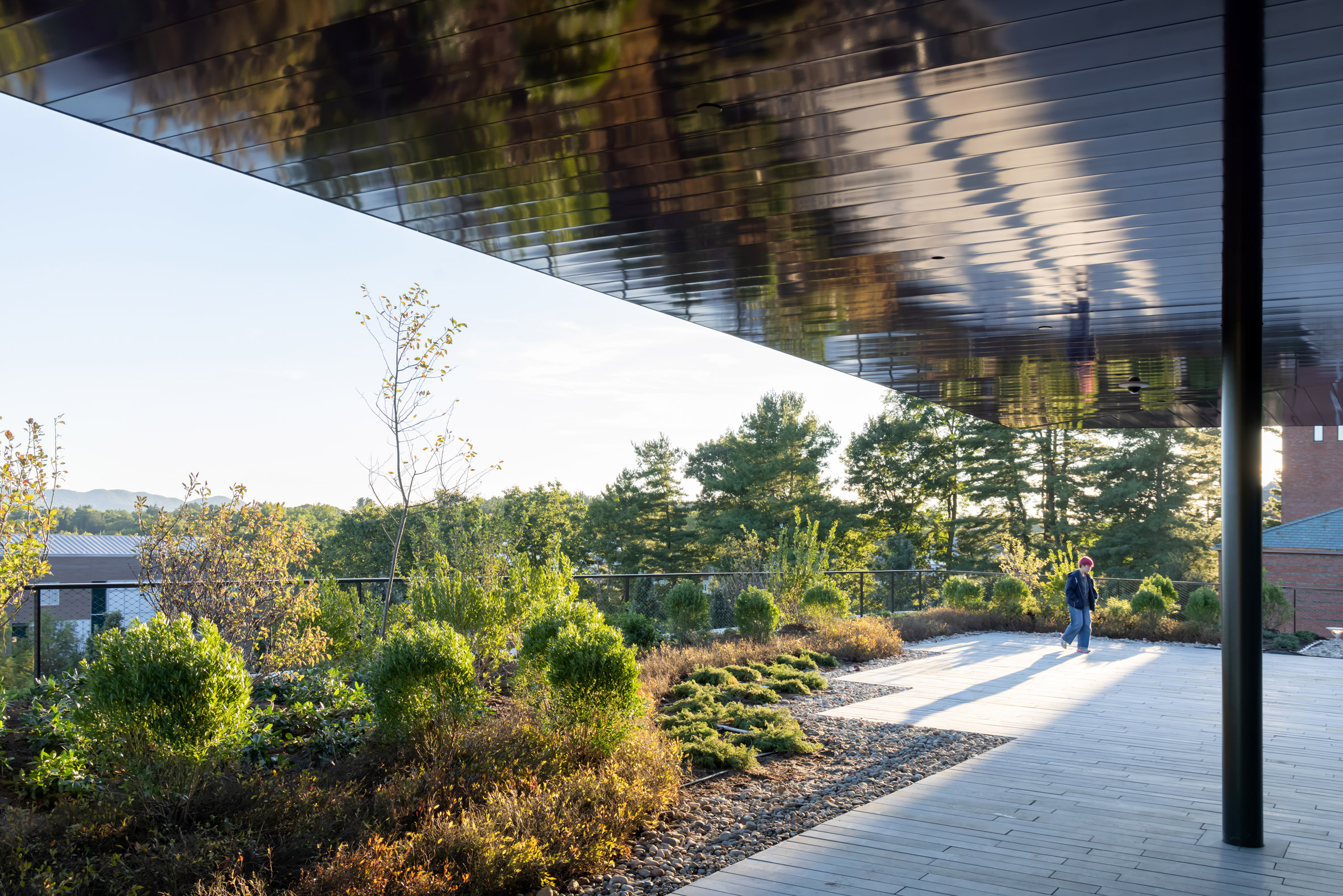 Herzog & de Meuron Mass Timber Amherst Extension