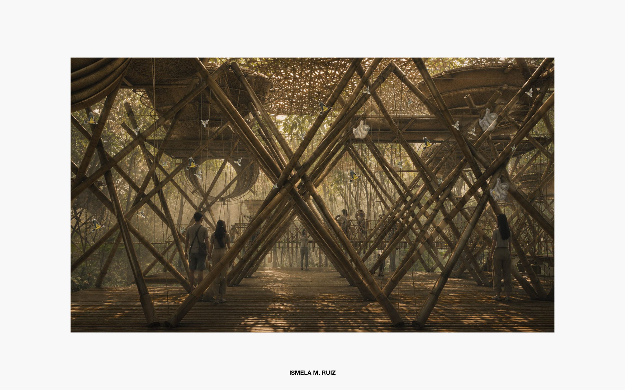 Visualisatiom showing structure in a jungle environment