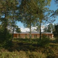 Pine House by Johan Sundberg Arkitektur