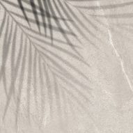 Saxum tile collection from Casalgrande Padana