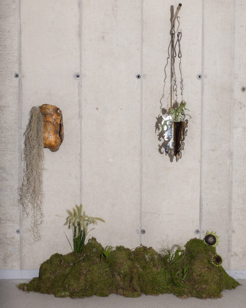 Nicolas Zanoni and for Martha McGuinn for Slancha's Hanging Baskets