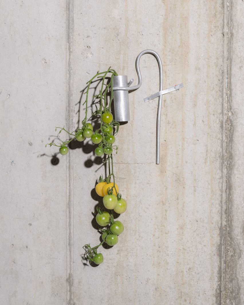 Six Dots for Slancha Hanging Baskets