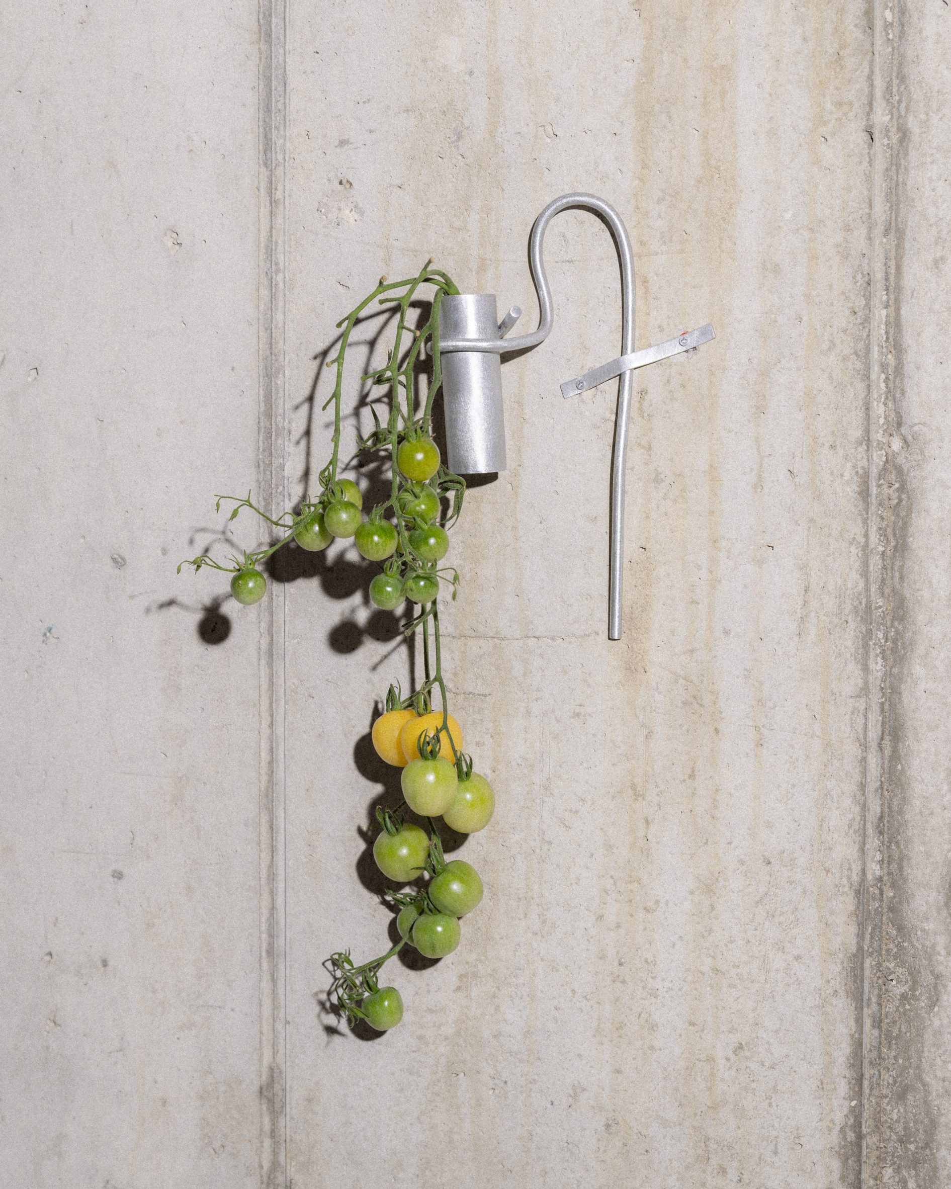 Six Dots for Slancha Hanging Baskets