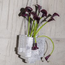 Hanging Baskets references David Bowie, brutalism and the Romans
